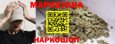 крисы Заводоуковск