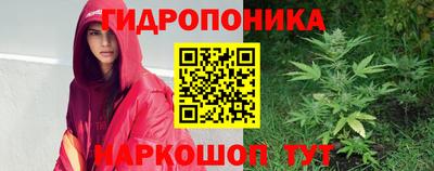 крисы Заводоуковск