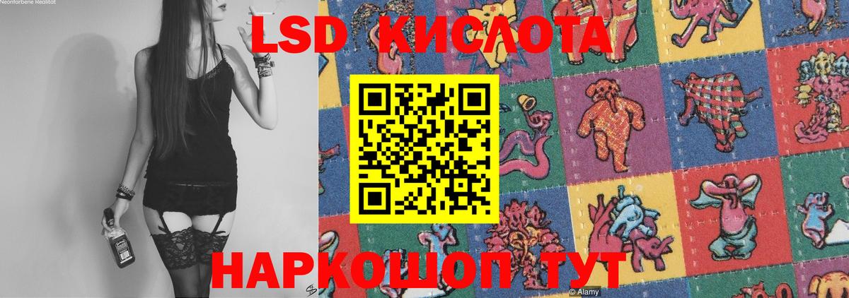Псилоцибиновые грибы Качканар
