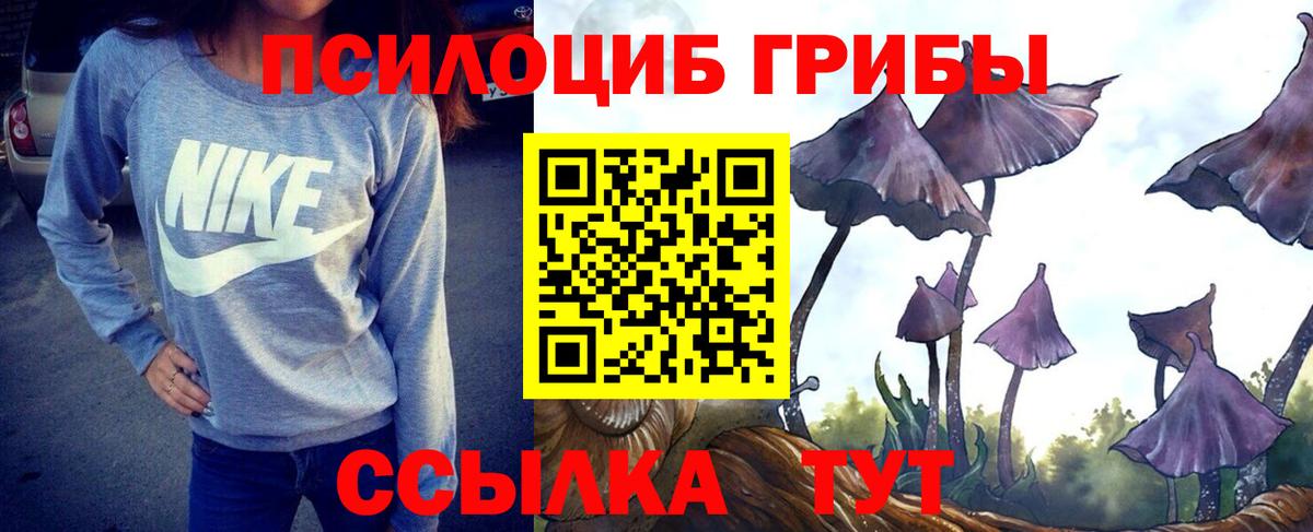 Качканар  Галлюциногенные грибы Psilocybe  Вход с VPN 